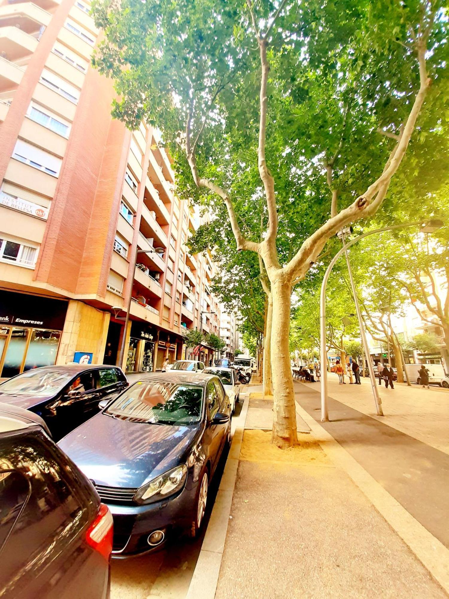 Tarragonaapartments Prim 350 레우스 외부 사진